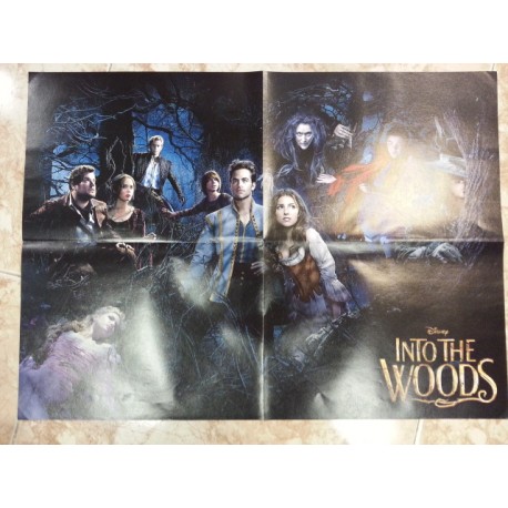Póster doble: Into the woods/Sons